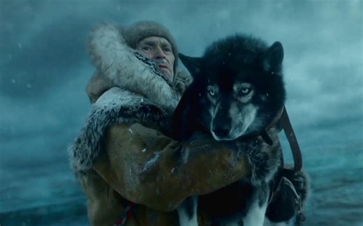 豆瓣8.8分狗狗电影，二哈5天跑4000里，只为送疫苗到疫区，到了才发现腿断了