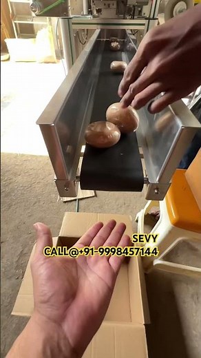 Automatic Soap Wrapping Machine | High-Speed Soap Packing Solution | Sevy Techno Trend|soap packing