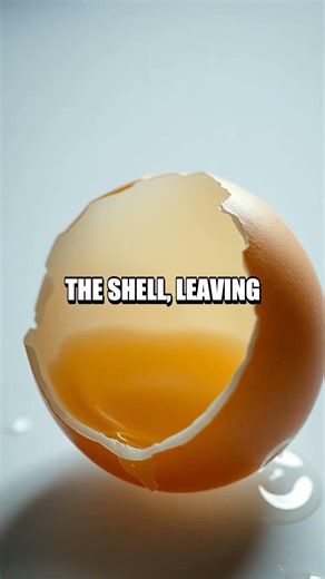 Osmosis Egg Explorer at Home