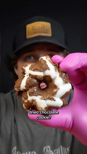 Can You Freeze Dry Chocolate Cookie?