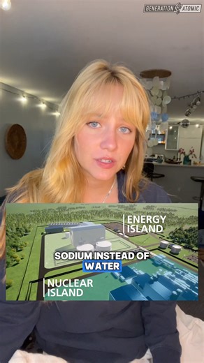 The Nuclear Reactor Race: TerraPower #nuclear #smr #TerraPower #nuclearenergy #wyoming | Generation Atomic