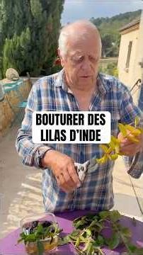 Comment bouturer des lilas d'inde ? #Jardinage #jardin #bouture #fleur #lagerstroemia #lilas #nature