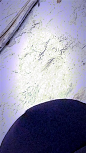 PUFF187 (@davidjansen947puff)’s videos with original sound - Addiction.