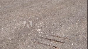 Crack on gray asphalt texture background. Road construction and design concept. Worn out bad asphalt