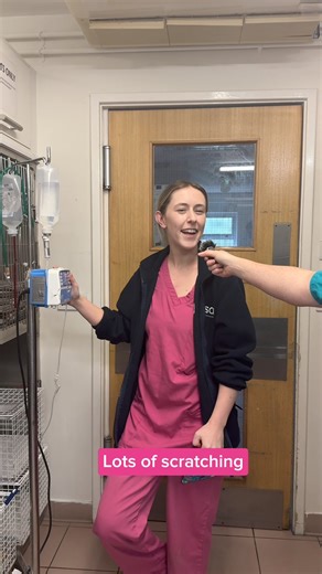 This week is #AllergyAwarenessWeek, so we want to spread awareness of allergies in our four-legged friends 🐕 Here are signs that you’re likely to see if your dog has an allergy: 👇 1. Licking or biting their paws 2. Red, sore skin around the eyes, ears, in between the paws and on their tummies 3. Upset stomach 4. Lots of scratching and head shaking 5. Rubbing their ears or muzzle [Video description: Various members of the veterinary team at our Leeds Pet Hospital, talking into a mini microphone