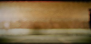 One Direction Reunion: What's Next for Directioners?