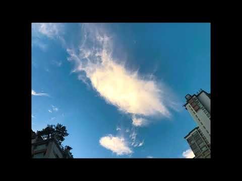 gluck iphigenie in aulis overture ( w. furtwängler )