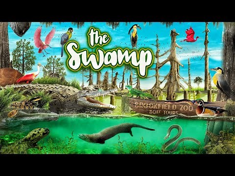 Zoo Tours: The Swamp | Brookfield Zoo