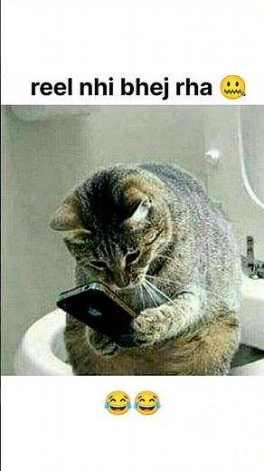 Dost reel nhi bhej rha yr 😭#cat #catmemes #funny #cute #viral #shorts