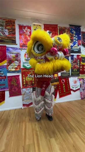 This is King, he will be showing you how the lion head works🦁 #liondancekids #liondance #ykmaus #liondancing #lionhead