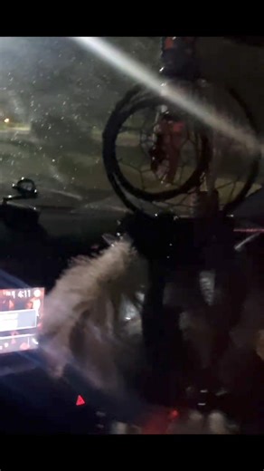 28K views · 207 reactions | TOYOTA NZE Al guet sa ☣️ Loto...