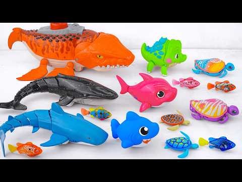 [🐋Toy asmr🐋] Mosasaurus & RC Shark &Baby Shark &Nimo Fish &TV Aquarium ASMR Satisfying with Unboxing