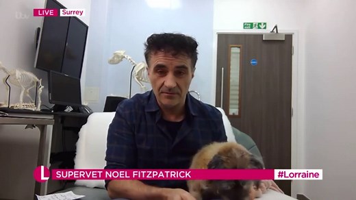 Supervet Noel Fitzpatrick on saving his dog’s life in 2020