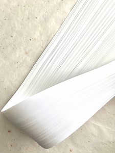 White~ Froebel Paper Strips (50ct) - Etsy