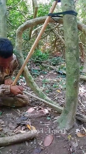 85K views · 317 reactions | Best Creative traps #trap #survival #outdoors #forest #skills #camping #tips #challenge #trap #skills #reels #hunting #alamliar #fores #nature #wildlife #photography #ontario #trav | Creative 1M | Facebook