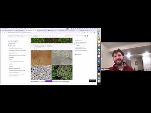 Statistical Methods Series: The DeepForest python package for Airborne Biodiversity Monitoring