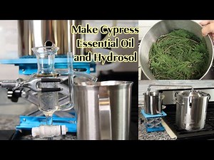 How to Make Cypress Essential Oil and Hydrosol by Hydro Distillation. How to Do Hydro Distillation