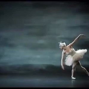 23K views · 1.1K reactions | Moments from Siegfried and Odette's first encounter, performed by the Kirov Ballet Odette: Yelena Yevteyeva Siegfried: John Markovsky Rothbart: Mahmud Esambaev Choreography by Marius Petipa, Lev Ivanov, Konstantin Seraeev | Profesor José Gongora Ballet | Facebook