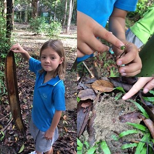 Unit 4- How the World Works