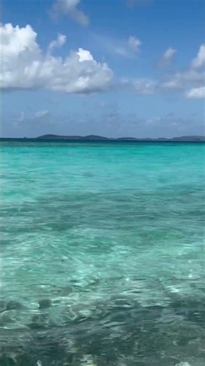 Jost Van Dyke White Bay Beach BVI May 2026 Disney Treasure #shorts #disneycruise #beach