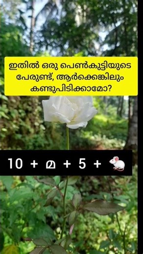 കണ്ടുപിടിക്കാമോ? #ytviral #malayalam #explorepage #funny