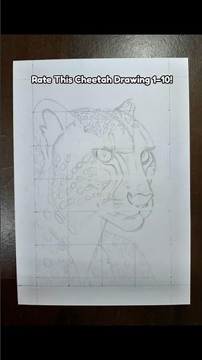 Wait for the Transition… 🐆✨ #realisticdrawing #cheetah #drawing