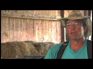 Fresh The Movie - Official Trailer