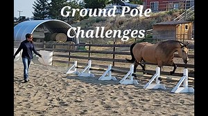 Ground Pole challenges for your horse