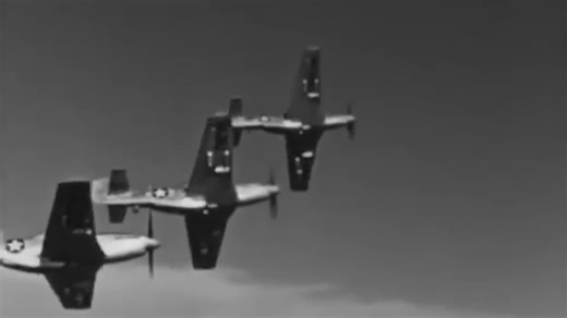 Göring's Despair: How the P-51 Mustang Secured Allied Air Supremacy