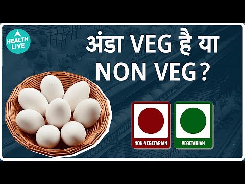 Is Egg Veg or Non Veg | Facts to know about egg vegetarian or non vegetarian | Health Live