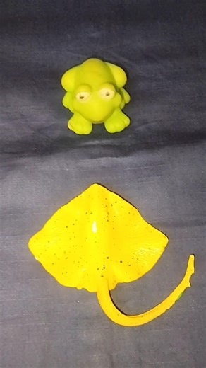 Funny mother frog | Why did the last frog fart toot! | Funny tree frog hahaha