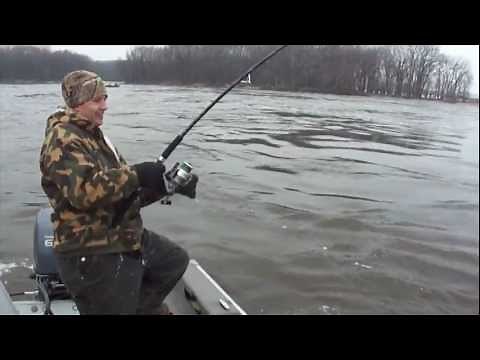 How to Snag Spoonbill Snagging Paddlefish