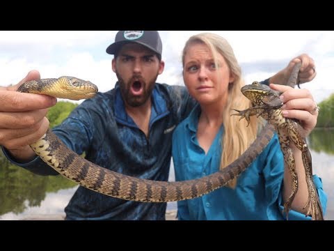 Giant Diamondback Tries Eating Bullfrogs—Fishing Lessons