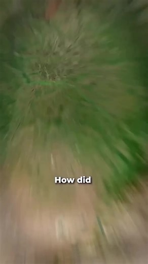 How did the Soviet union collapse? #maps #followme #world #geography #country