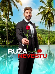 Ruža pre nevestu | TV Markíza