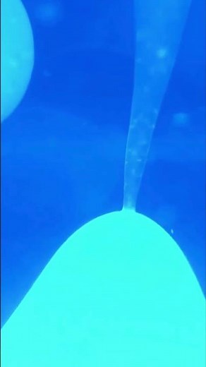 Blue Lava | Relaxation | Sensory