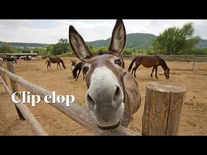 Clip clop Christmas song