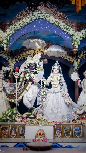 radhe radhe🙏 #love #youtube #premanandjipravachan #shyam #shortfeed #motivation #ytshorts #shorts