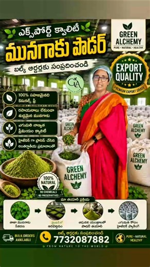 🚚 గ్రామం నుంచి ప్రపంచానికి | Export Quality Moringa Powder #farming #moringa