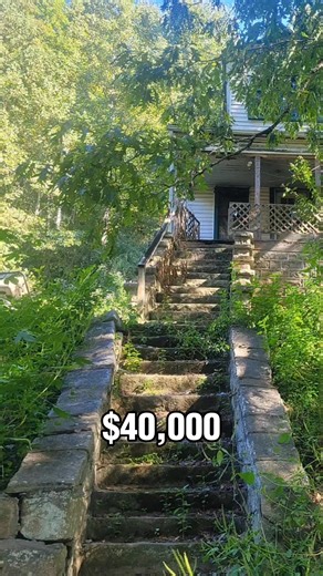 Timeless character | Forgotten ,Abandoned