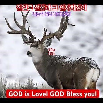 나는 길 잃은 나그네였네 / 진실로 선함과 인자하심이