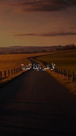 muhammad ahmad (@muhammadahmad33876)’s videos with original sound - muhammad ahmad