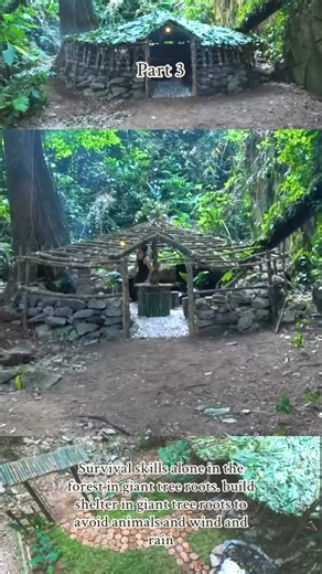 Part 3 ｜ Survival skills alone in the forest in giant tree roots. bui... | Martin Green