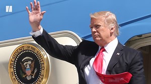 According to Donald Trump, there’s a deadly threat stalking America’s skylines… beware the windmills that “kill everything.” | HuffPost