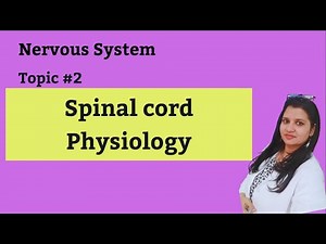 Spinal cord physiology