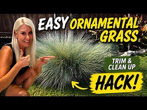 The Easiest Way to Clean Up & Prune Ornamental Grass