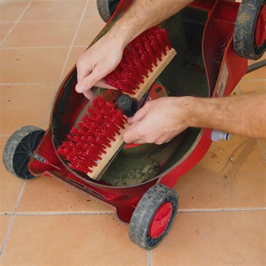 💡 إبداعات سهلة ومدهشة لحديقتك المنزلية: جربها الآن! ✨ | 123 GO Arabic