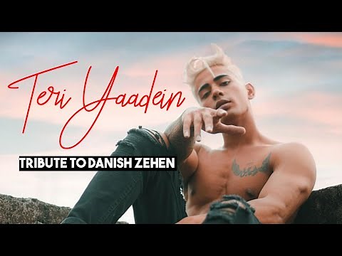 Teri Yaadein | Danish Zehen (Official Video) ‪@MTVIndiaa‬ TRIBUTE SONG 2024