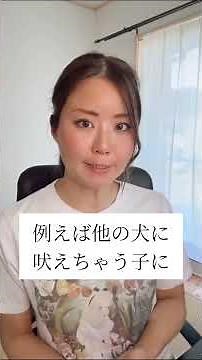 【ドッグトレーニング】リードショックについて知る #ドッグトレーニング #大型犬のいる生活 #ドッグトレーナー #大型犬 #お散歩 #いぬのいる生活 #犬のいる生活 #リードコントロール