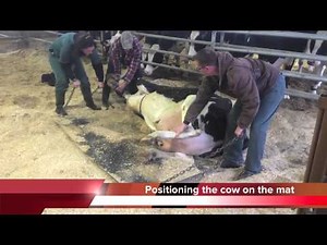 Agwest Dairy Float Tank